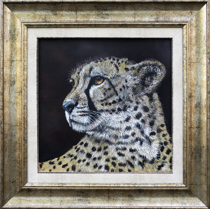 Cheetah