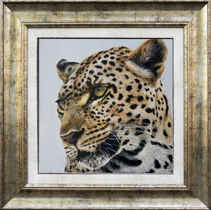 Leopard